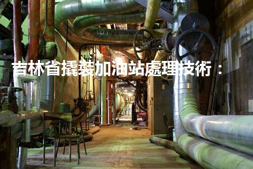 吉林省撬裝加油站處理技術：化工廠拆除的新方法？